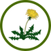 Quelle: Kindertageseinrichtungen Waldkirch