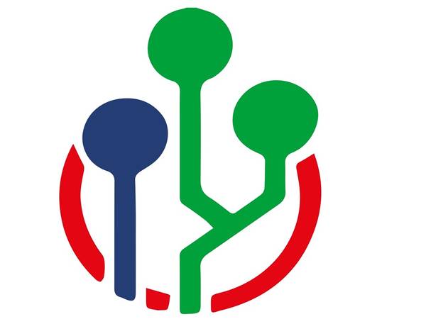 Quelle: Netzwerk Pro Sinti und Roma, Netzwerk-Struktur