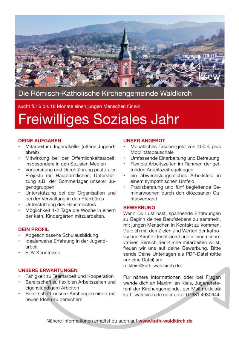FSJ-Plakat