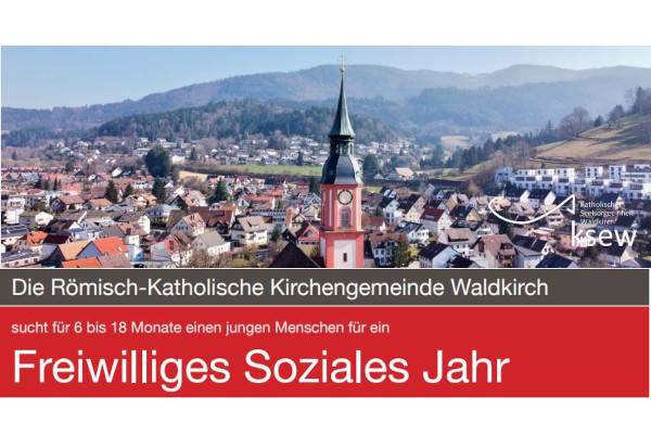 FSJ-Plakat (Titel)