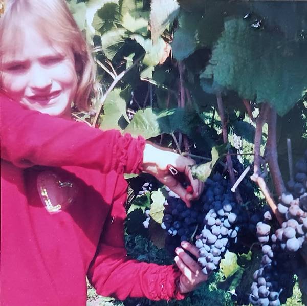 Quelle: Eva Pollitt, Seelsorgeeinheit Waldkirch Mädchen erntet Weintrauben