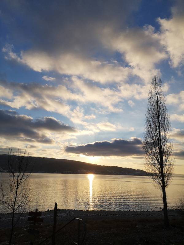 Sonnenuntergang auf der Reichenau